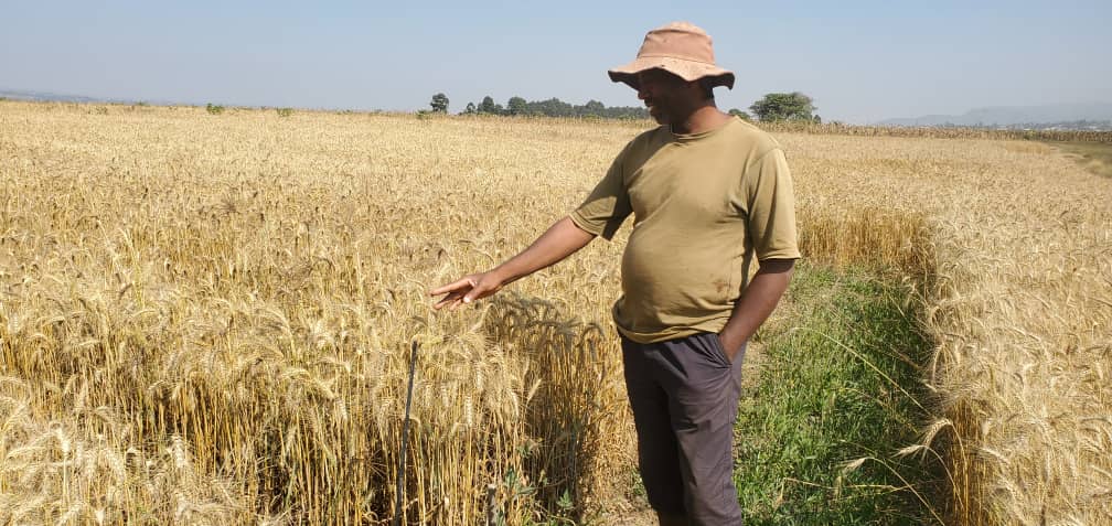 MMEG Agricultural Operations